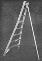 ladder.jpg